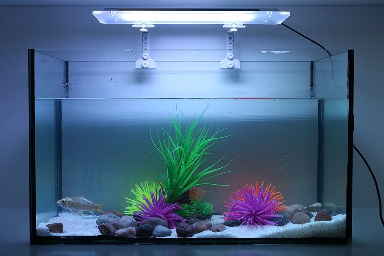 luchshie-akvariumnye-lampy
